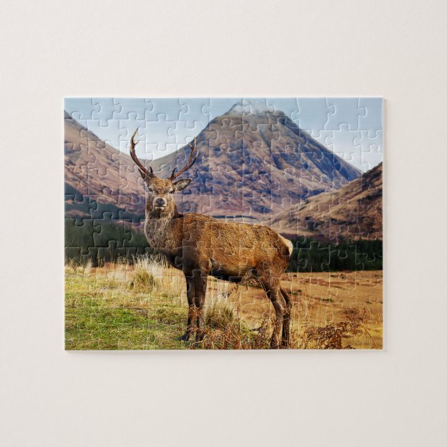 Stag Jigsaw Puzzle (Horizontal)