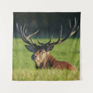 Stag Resting In The Green Grass Tapestry