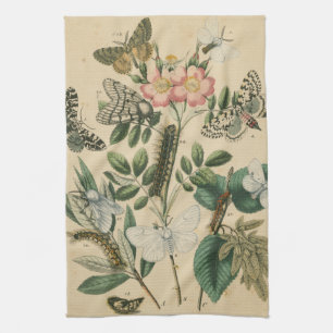 Stages of Butterfly Life by Vision Studio Kitchen Towel