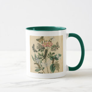 Stages of Butterfly Life by Vision Studio Mug