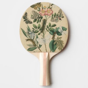 Stages of Butterfly Life by Vision Studio Ping Pong Paddle