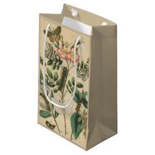 Stages of Butterfly Life by Vision Studio Small Gift Bag
