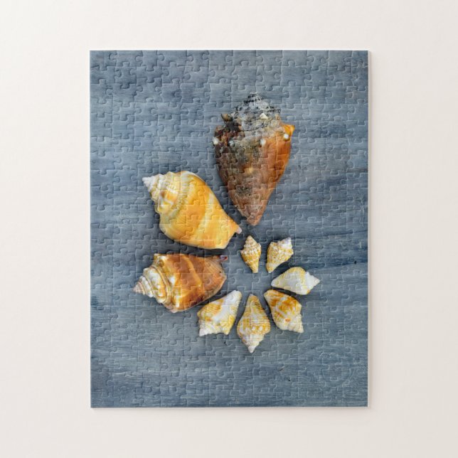 Stages of Life Jigsaw Puzzle (Vertical)