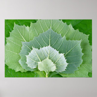 STAGES OF LIFE POSTER