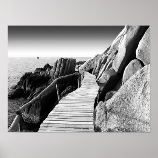 "Staggering Wooden Path in Black and White" photo Poster