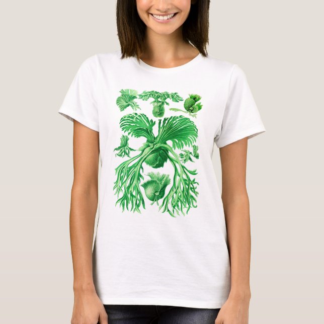 Staghorn Fern T-Shirt (Front)