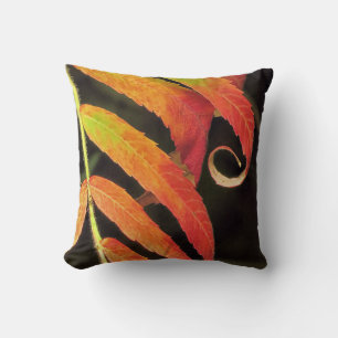 Staghorn sumac - pillow