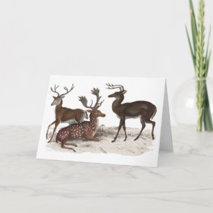 STAGS BLANK CARD