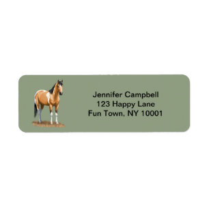 Staillion de Pinto Dun Paint Horse