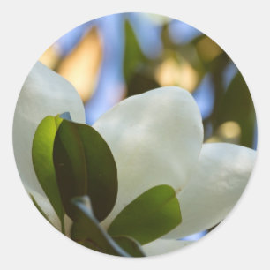 Stained Glass Sky Southern Magnolia Gifts Apparel Classic Round Sticker