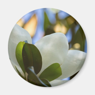 Stained Glass Sky Southern Magnolia Gifts Apparel Magnet