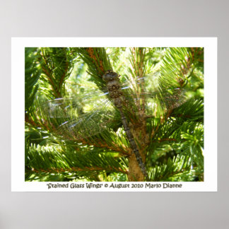 'Stained Glass Wings' Poster