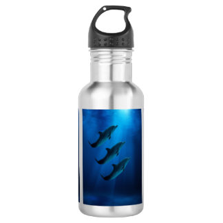 Stainless Steal Water Bottle with dolphins