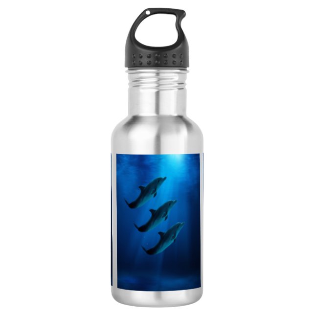 Stainless Steal Water Bottle with dolphins (Front)