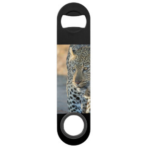 Stainless Steel Bottle Opener Bar Key