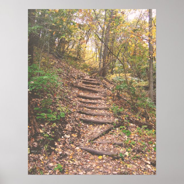 Stairs Into The Forest Poster (Front)