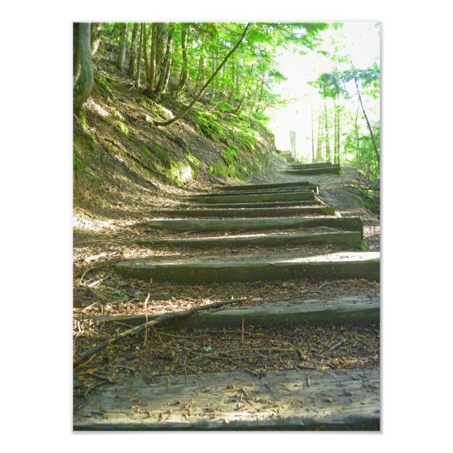 Stairs Up To The Forest Photo Print (Front)