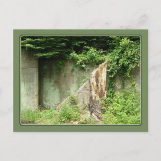 Stairway to Nowhere Postcard