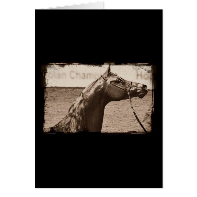 Staline arabe (Devant)