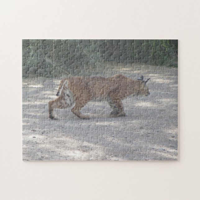 Stalking Bobcat Jigsaw Puzzle (Horizontal)