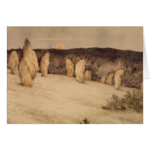 Stalks of Grain in Moonlight