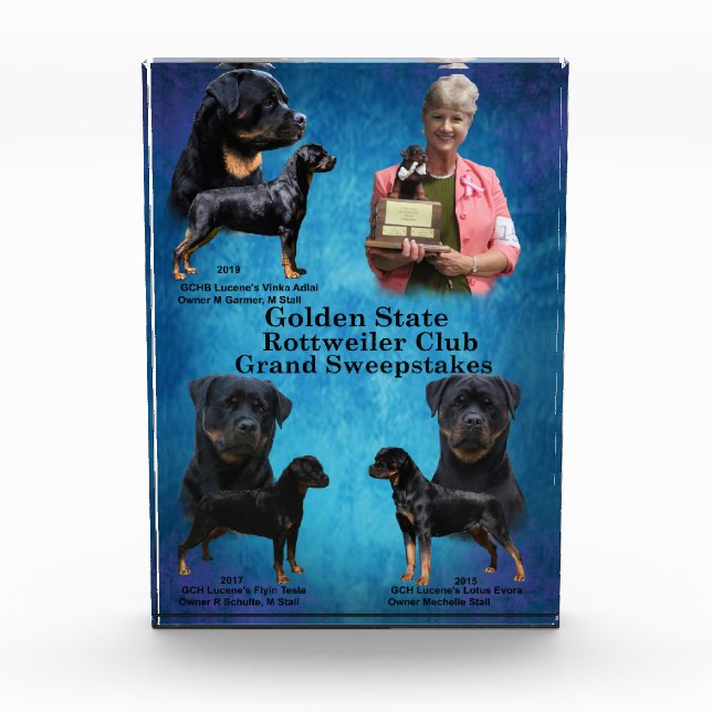 Stall Grand Sweepstakes  Photo Block (Front)