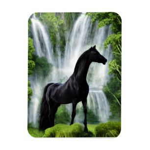 Stallion and Waterfalls Magnet