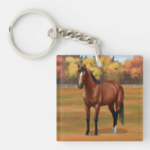 Stallion Cheval du Quartier Brown Bay