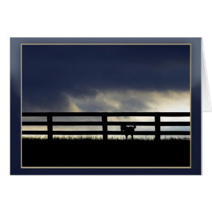 Stallion Farm Silhouette