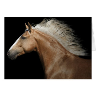 Stallion Palomino
