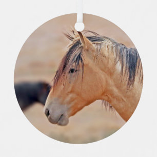 Stallion regarder ornement