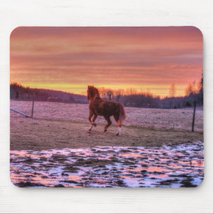 Stallion Running Home at Sunset on Ranch Mouse Pad