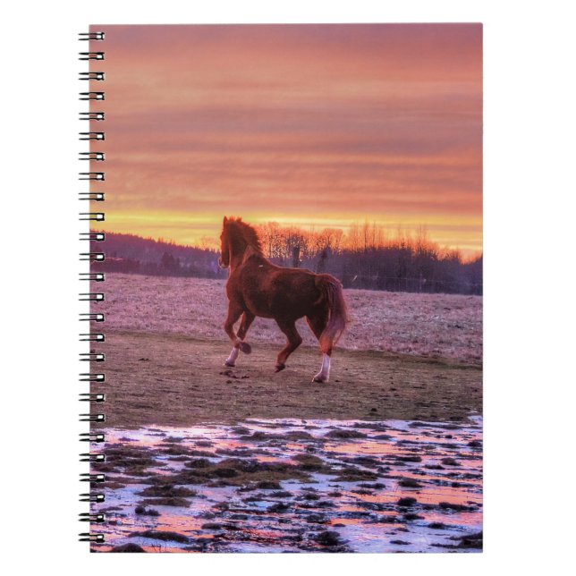 Stallion Running Home at Sunset on Ranch Notebook (Front)