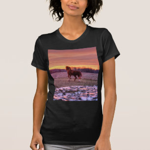 Stallion Running Home at Sunset on Ranch T-Shirt