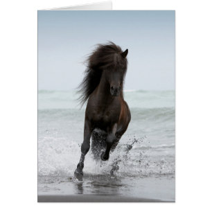 Stallion Running On Beach North Atlantic