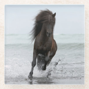 Stallion Running On Beach North Atlantic Glass Coaster