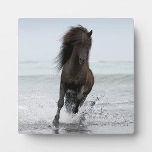 Stallion Running On Beach North Atlantic Plaque