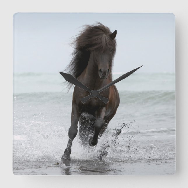 Stallion Running On Beach | North Atlantic Square Wall Clock (Front)
