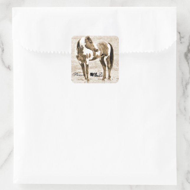 Stallion sauvage Picasso Paint Horse Stickers West (Sac)