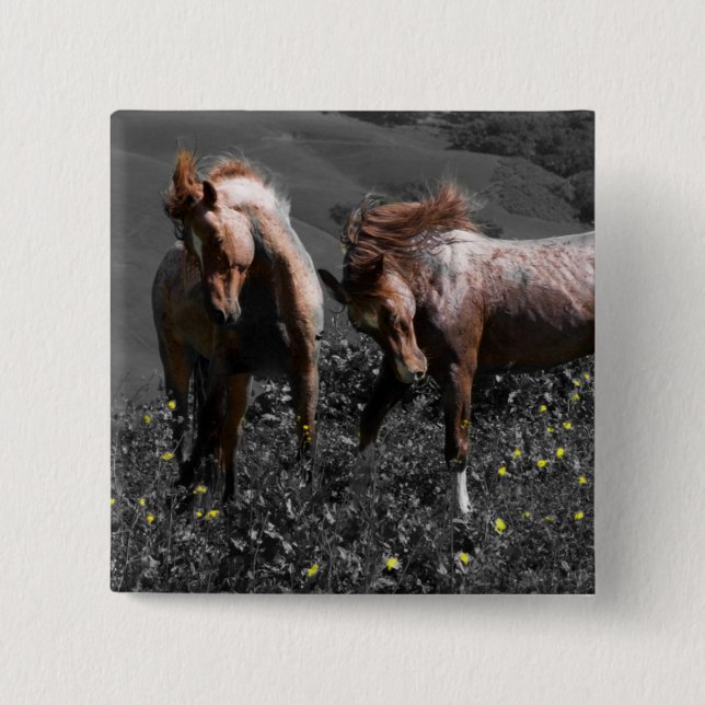 Stallion Spar 2 Inch Square Button (Front)