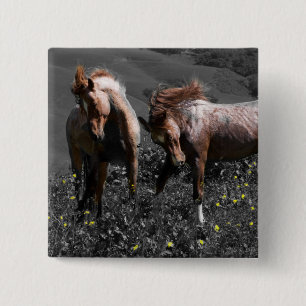 Stallion Spar 2 Inch Square Button