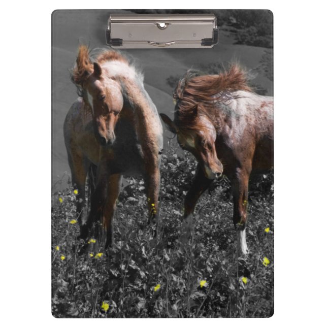 Stallion Spar Clipboard (Front)