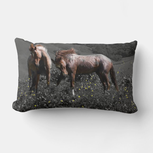 Stallion Spar Lumbar Pillow (Front)