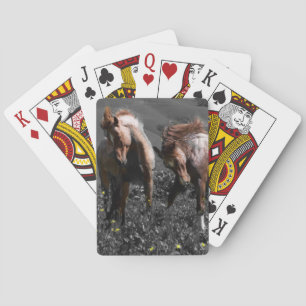 Stallion Spar Playing Cards