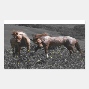 Stallion Spar Sticker