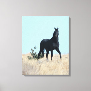 Stallion Voodoo Canvas print