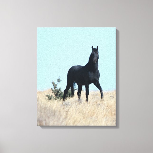 Stallion Voodoo Canvas print (Front)