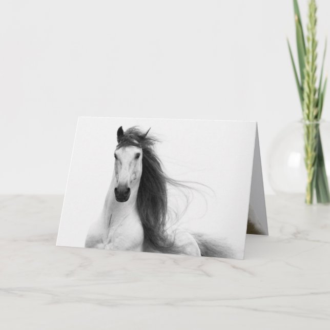 Stallion's Glory Horse Greeting Card (Front)
