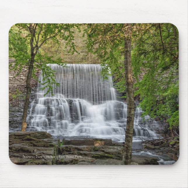 Stametz Dam Mouse Pad (Front)