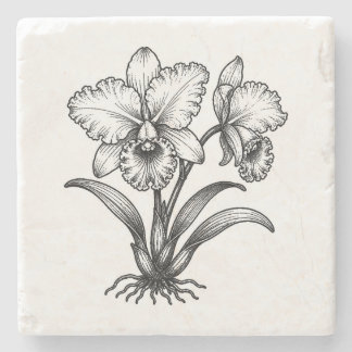 Stamp Cattleya Orchid Stem Natural Stone Coaster